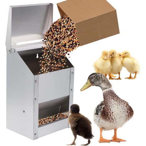 Distributeur de nourriture automatique en acier inoxydable pour volailles, poules et poussins, mangeoire pratique et robuste (1/5)