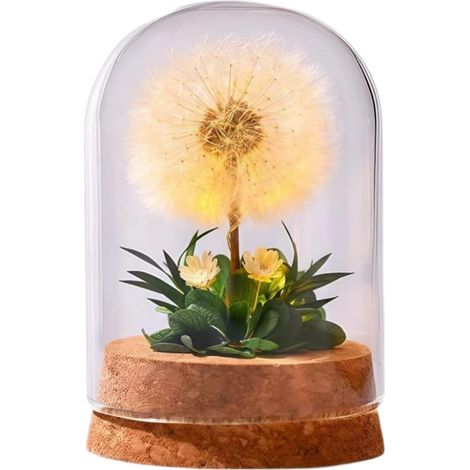 Lampe de Nuit Pissenlit, Cadeaux de Fleurs Roses Uniques, Cadeaux de Fleurs Préservées sous Cloche en Verre pour Femmes, Maman, Petite Amie et Épouse, Décoration d'Intérieur pour Anniversaire, Fête de (1/5)