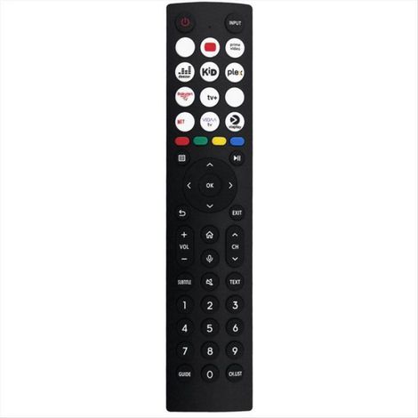 Télécommande de Remplacement ERF2S36H pour Télécommande pour Hisense Smart LED LCD TV Sans Voix (1/4)