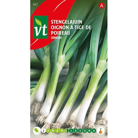 Oignon à Tige De Poireau Ishikura Long White - Ca. 3 gr (1/2)