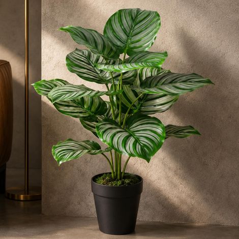60cm Artificial Green Stripe Botanik Plant - Premium Quality (1/4)