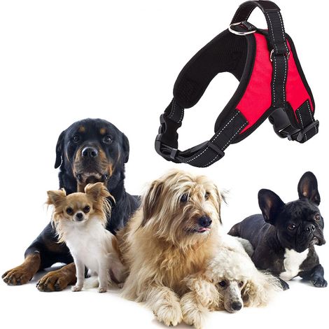 Pettorina imbracatura per cane a maglia aperta taglia L large 62-77cm 21-35kg