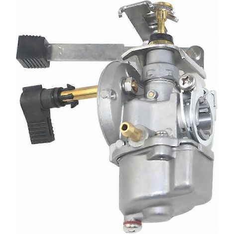 Carburateur pour moteur hors-bord 2 temps de 2 CV, compatible avec les moteurs de bateau 6A1-14301-03 (1/4)