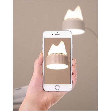 Lampe de lecture LED à pince Flexible, lampe de lecture avec veilleuse (1/4)