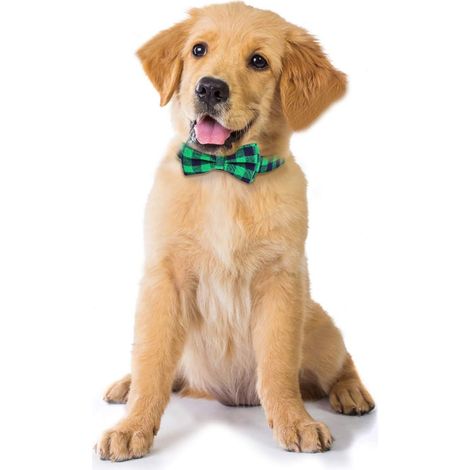 Collier noeud papillon ajustable pour chien doux et confortable (M, vert) (1/3)