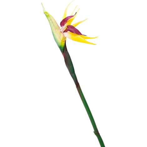 Fleurs artificielles oiseau de paradis, plantes décoratives permanentes et réalistes, fausses fleurs de paradis pour intérieur (jaune) (1/5)
