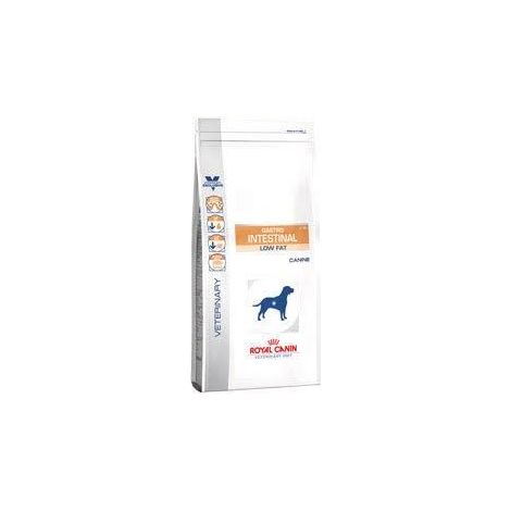 ROYAL CANIN Gastrointestinal Low Fat - nourriture sèche pour chiens - 6 kg