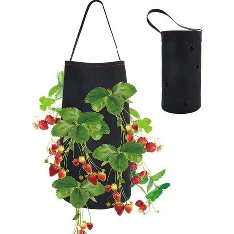 Sac de Plantation de Fraises Sacs de Culture Sac de Plantation Jardin pour Fraise pour Plantes de Jardin Herbes Fleurs 38 22cm (1/3)