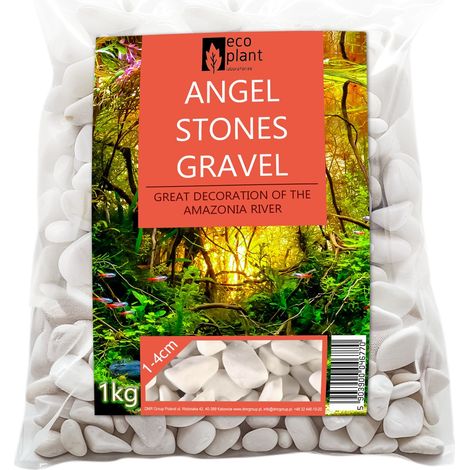 Galets blancs anti-algues pour aquarium, rincés, 1 kg, décoration (1/4)