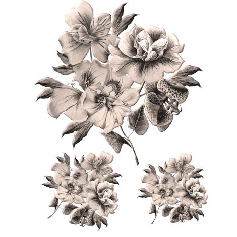 sticker mural fleurs beige clair  - Sanders & Sanders (1/2)