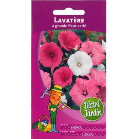 Graines de Lavatère à grande fleur varié (1/2)
