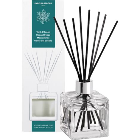 Maison Berger Bouquet profumato Cubo Vent d'Océan 125ml
