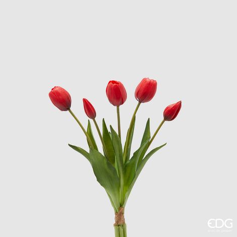 EDG Enzo De Gasperi Bouquet 5 Tulipani con Foglie H 40 Cm Red