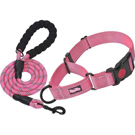 Rosa reflektierendes Hundehalsband, gepolstert mit weichem und atmungsaktivem Neopren, verstellbares Nylon für kleine Hunde (1/5)