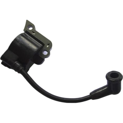 Bobine d'allumage EH025 : Bobine d'allumage haute tension adaptée aux moteurs Robin EH025, assurant un allumage fiable. (1/3)