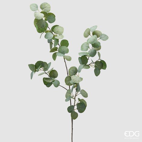 EDG Enzo De Gasperi Ramo eucalipto H 110 Cm Verde