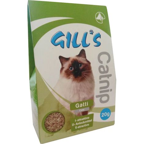 Set 6 pezzi Gill'S Catnip Bag 20 g erba gatta