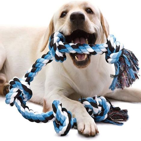 Jouet pour chien en corde indestructible pour chiens forts et de grande taille, jouet en corde pour chien, 90 cm, 5 nœuds, corde (1/5)
