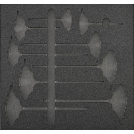 Werkzeugmodul 2/3 leer T-Griff Torx Wera (1/2)