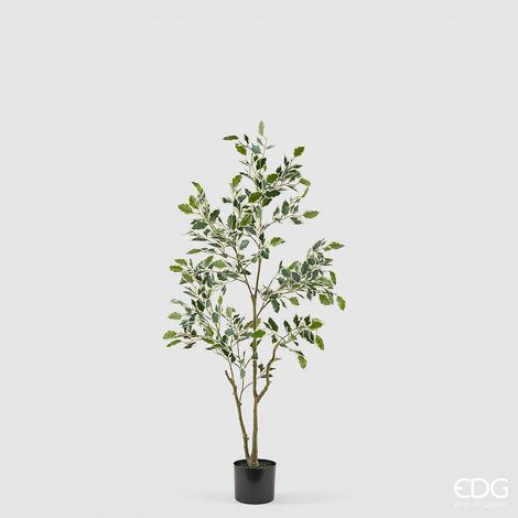 EDG Enzo De Gasperi Pianta Artificiale Ficus Vogue con Vaso H120 cm Verde Chiaro – Pianta Decorativa Realistica Design Moderno