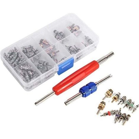 Kit De Noyaux De Valve Climatisation Automobile 102 Pièces R134A R12 Outils Réfrigération Voiture (1/4)