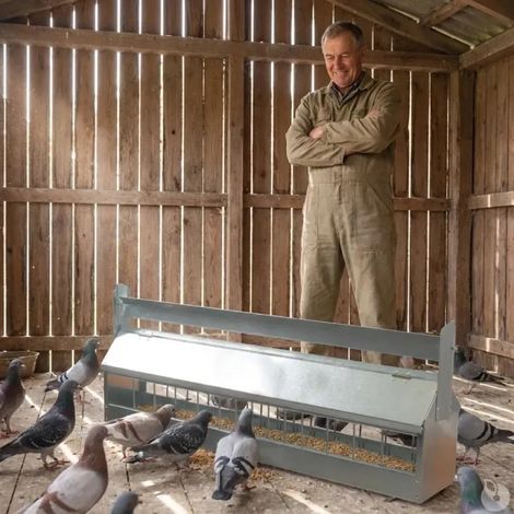 Mangeoire à rouleau pour pigeon 1m (1/5)
