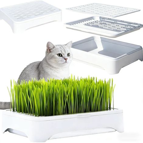 Filiyano-Demi-paquet d'herbe à chat (sans graines) - Conception en trois parties avec système anti-basculement Plateau de culture pour micro-pousses (1/5)