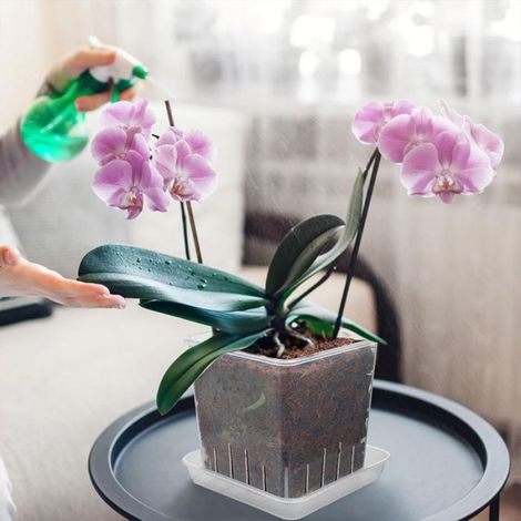 Pot De Fleurs - Transparent - PP Épais - 10,5 Cm - Carré - Avec Plateau Et Aération - Pour Orchidées Et Plantes Respirantes - 1 Pièce (1/5)