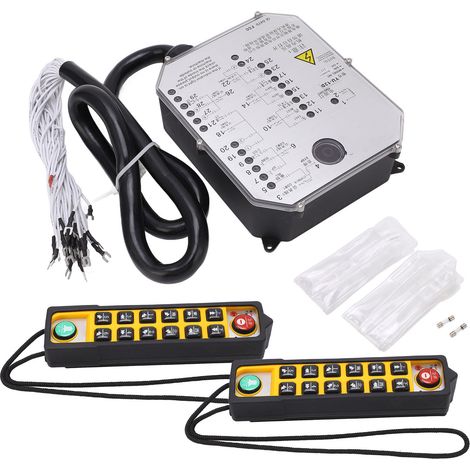 Télécommande de grue électrique à Double poignée, émetteur-récepteur industriel étanche, AC220V (1/5)