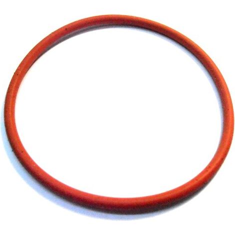 Saeco guarnizione 58mm caldaia Poemia HD8323 HD8423 Veneto RI9345 RI9585 SIN017