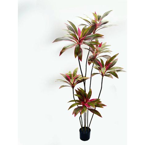Dracena rossa edi h. 180 cm con vaso - Atmosphera créateur d'intérieur (1/3)