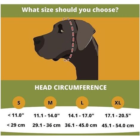 Casque antibruit pour protection auditive, réduction du bruit et anti-bruit, cache-oreilles chaud pour chien ,bleu(L)