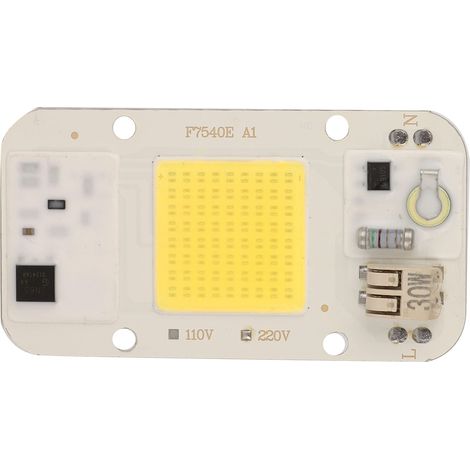 Puce LED intégrée 30W – lumière blanche – COB 220V – croissance plantes