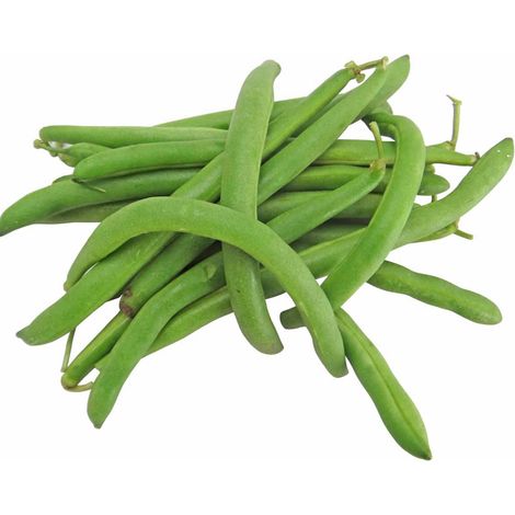 Semi di fagiolo "Nano mangiatutto slenderette" piante per orto e giardino coltivazione domestica e professionale kg 0,5