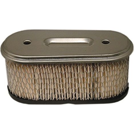 Cartucho Filtro Briggs y Stratton - 491021 (1/2)