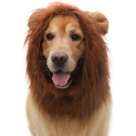 Déguisement lion pour animaux marron L x 3 modèle 12