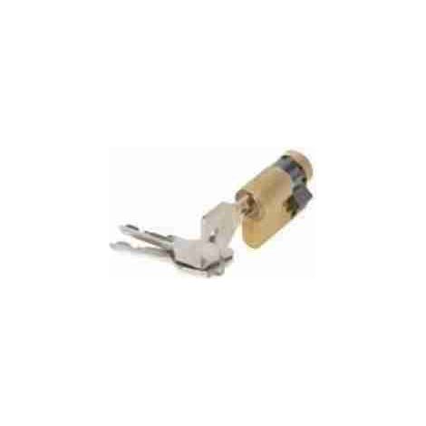 Kit Cilindro Cerradura Ciega Tk35 Faac 5589 Automatismos Originales