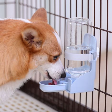 Dispensador de agua colgante para jaulas, 500 ml – Fuente de agua silenciosa y automática para animales pequeños (hámsteres, ratones, conejos enanos) – ABS/PP – Fácil montaje (1/5)