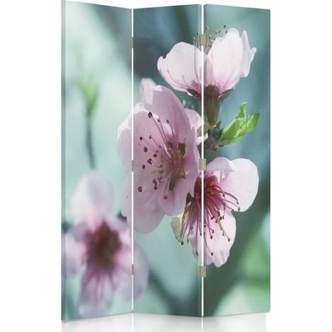 Paravento bilaterale 360, Fiori di ciliegio in primo piano - 110x170 (1/5)