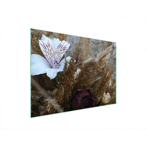 PLACA PROTECTORA DE VIDRIO PARA ESTUFA 70x52 ORQUÍDEA (1/5)