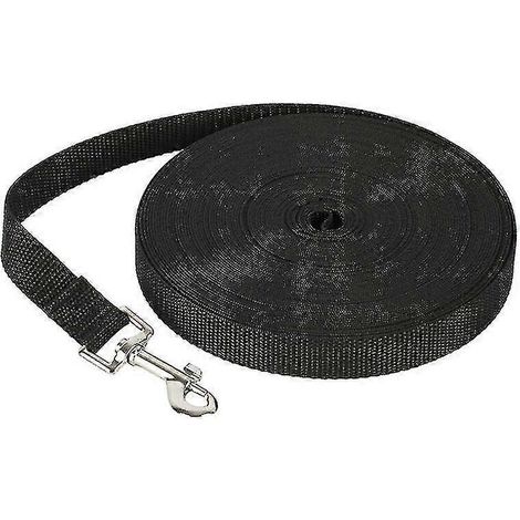 Laisse pour chien en nylon, 2 cm x 1,5 m, couleur noire