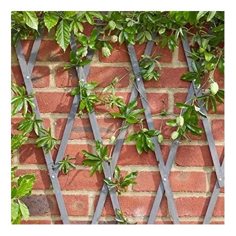Heavy Duty Plant Support Wooden Expanding Trellis for Climbing Plants Garden Decoration Outdoors Extend or Shorten Support Climbing Plants Easy Install Wall Mount (Slate Grey 1.8mx0.6m) (1/3)