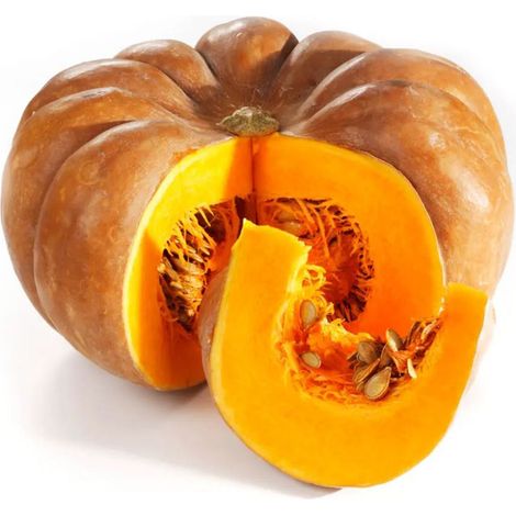 Semi di zucca "Mosquee de provence" piante per orto e giardino coltivazione domestica e professionale