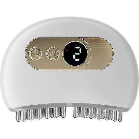 Appareil de massage pour l'articulation temporo-mandibulaire (ATM) : vibrations et chauffage, design ergonomique multi-aiguilles, efficace contre les douleurs cervicales. (1/5)