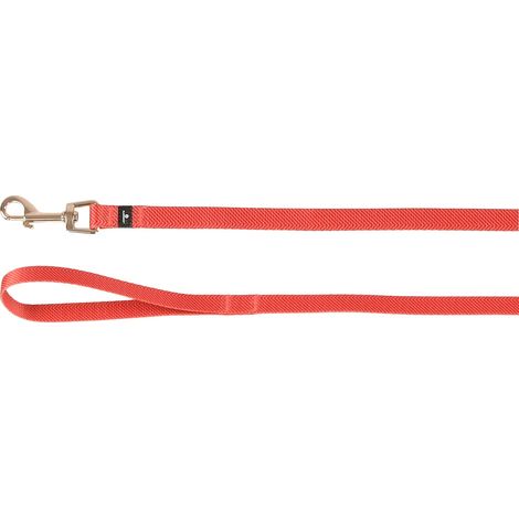 Laisse Chien Orange S - 120cm 15mm - Mousqueton avec revêtement en Nickel Brillant (1/3)