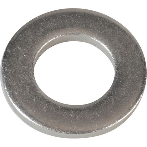 Flat Washers DIN125 A2 Stainless Steel M12 ForgePack 10 (1/2)