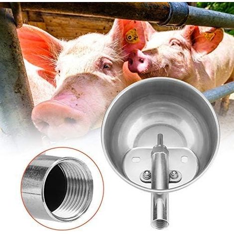 Abreuvoir automatique en acier inoxydable pour mouton et chien pour alimentation en eau et liquide