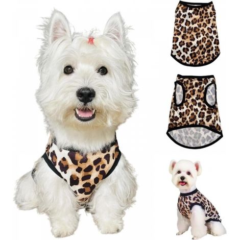 T-shirt d'été pour chien, imprimé, respirant, mignon, sans manches, pour petits et moyens chiens et chats, taille XS (1/4)
