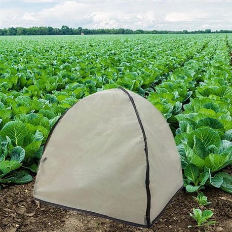 Abri anti-soleil portable pour l'hiver, petit format, pour tomates, abri compact, réutilisable, pliable, protection UV, UPF 50+, idéal pour les fleurs (1/5)