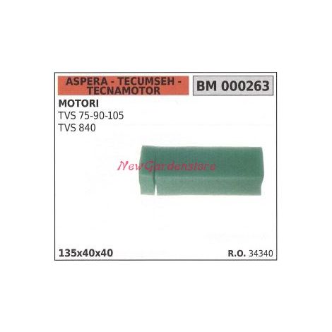 Filtro aria ASPERA motore rasaerba tosaerba tagliaerba TVS 75-90 000263